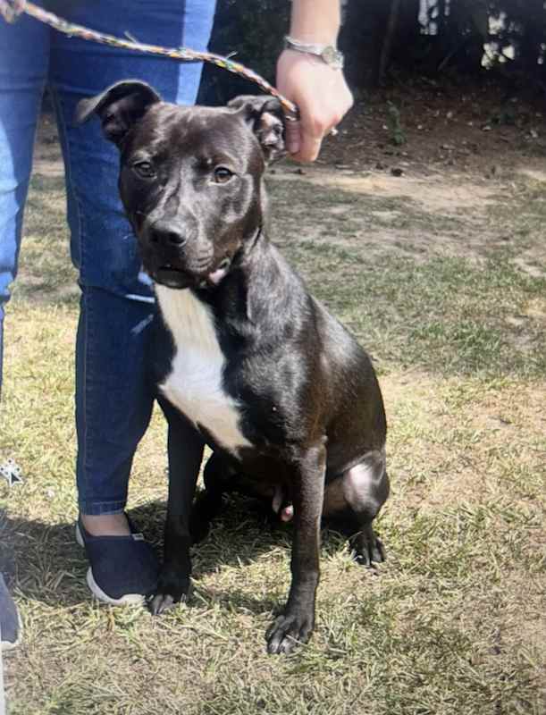 Photo of Arthur #image