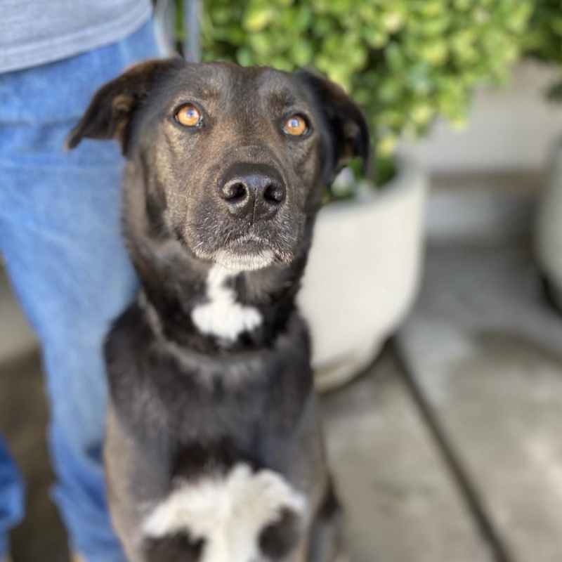 Photo of Twix #image