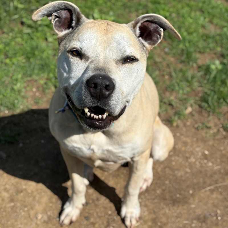 Photo of Athena #image