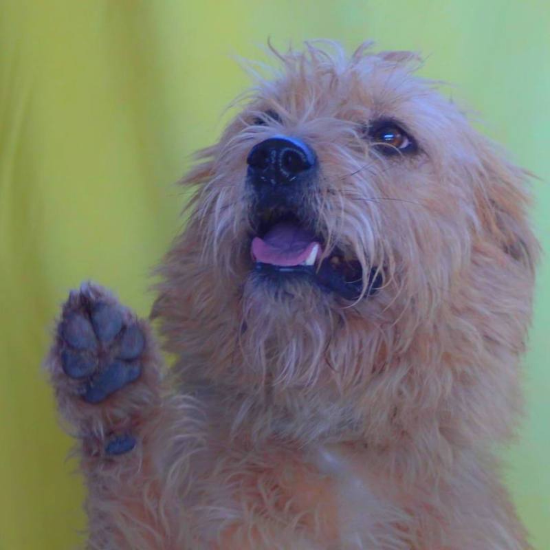 Photo of Maya JuM #image