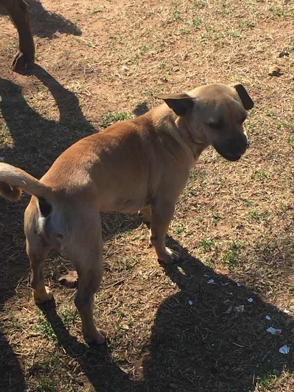 Photo of Chevy #image