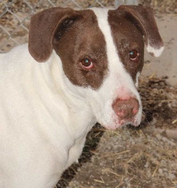 Photo of Oliver #image
