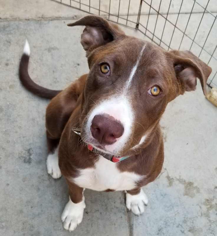 Photo of Maggie May #image