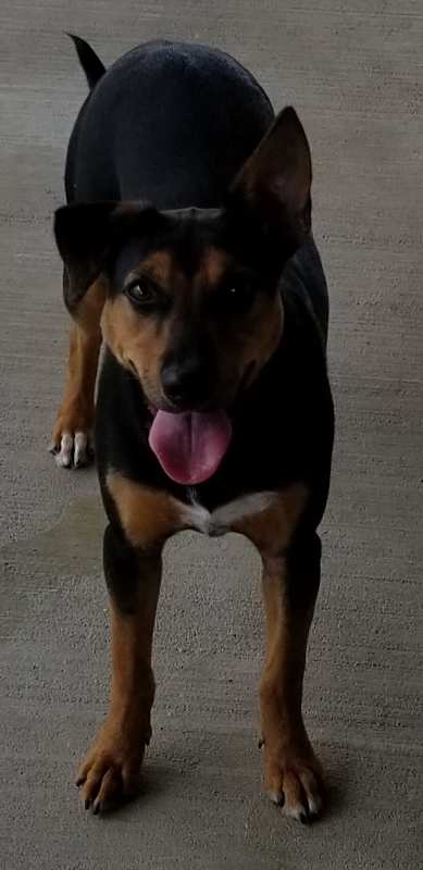 Photo of Sheena #image