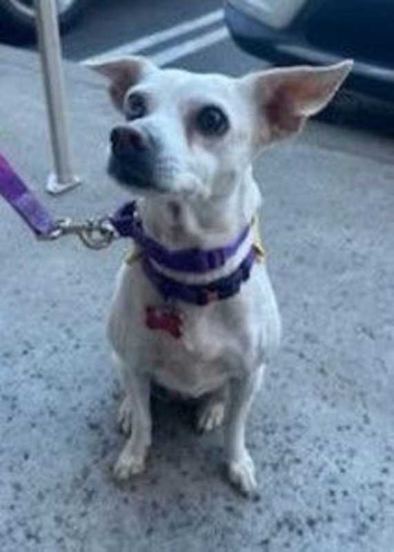 Photo of Jillie #image