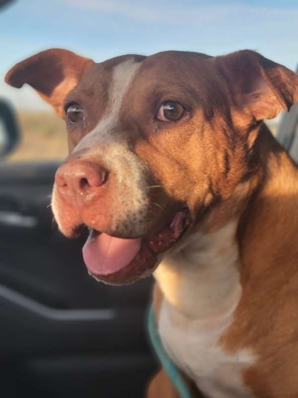 Photo of Jilly #image