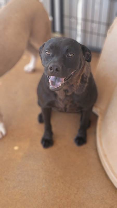 Photo of Laila #image