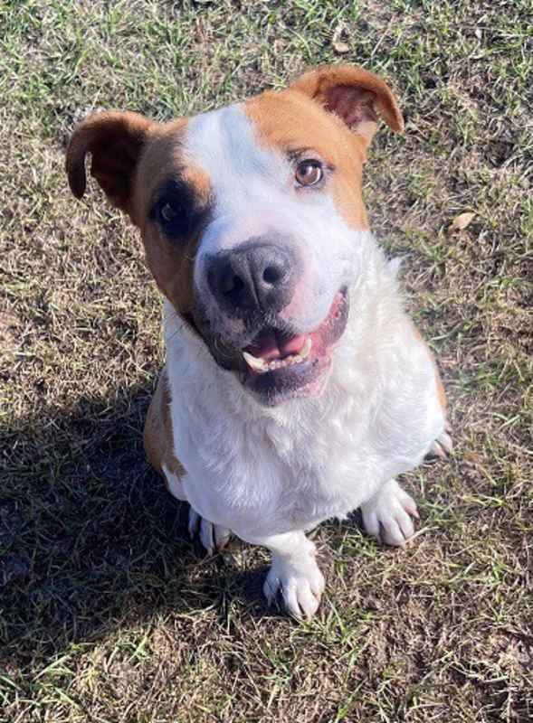 Photo of Micah #image