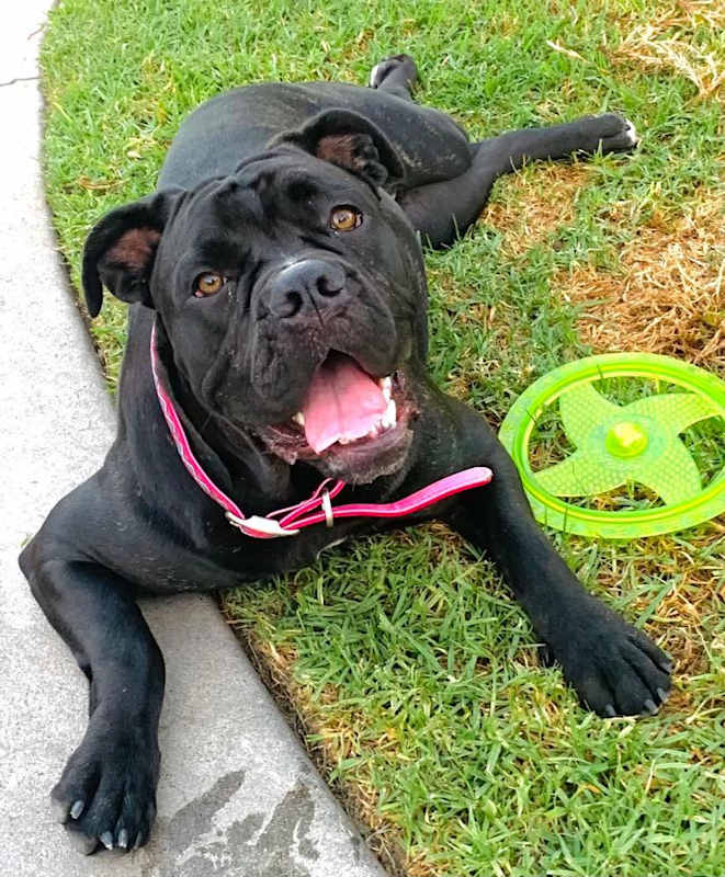 Photo of Pretty Frida #image