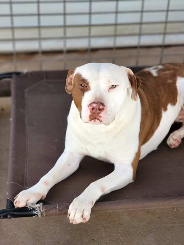 Photo of Ruby #image