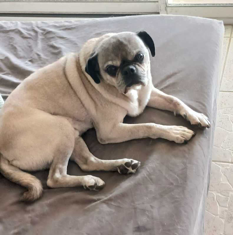 Photo of ROCKY #image