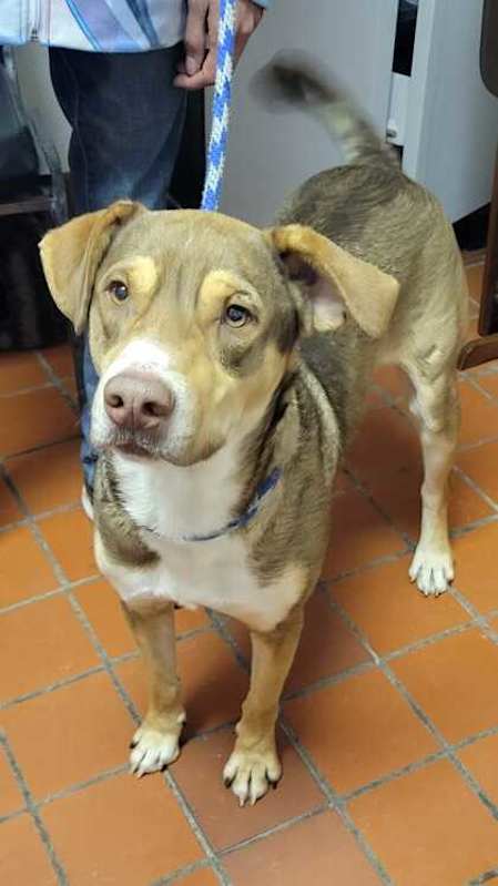 Photo of Sanders #image