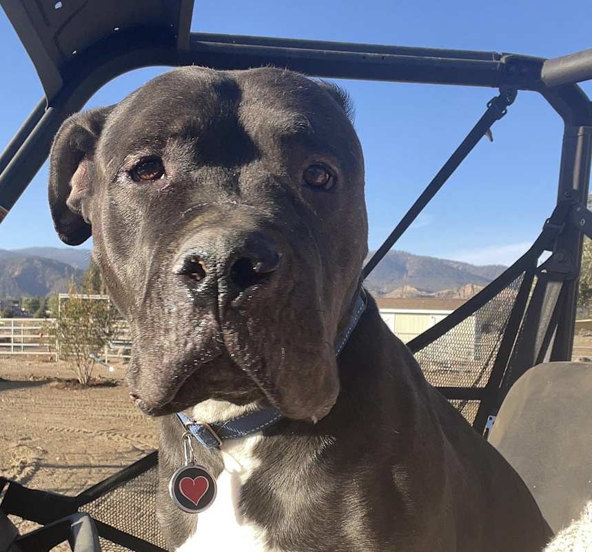 Photo of Booker fka Sabook/Harley #image