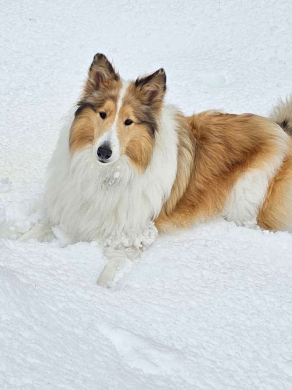 Photo of Kip #image