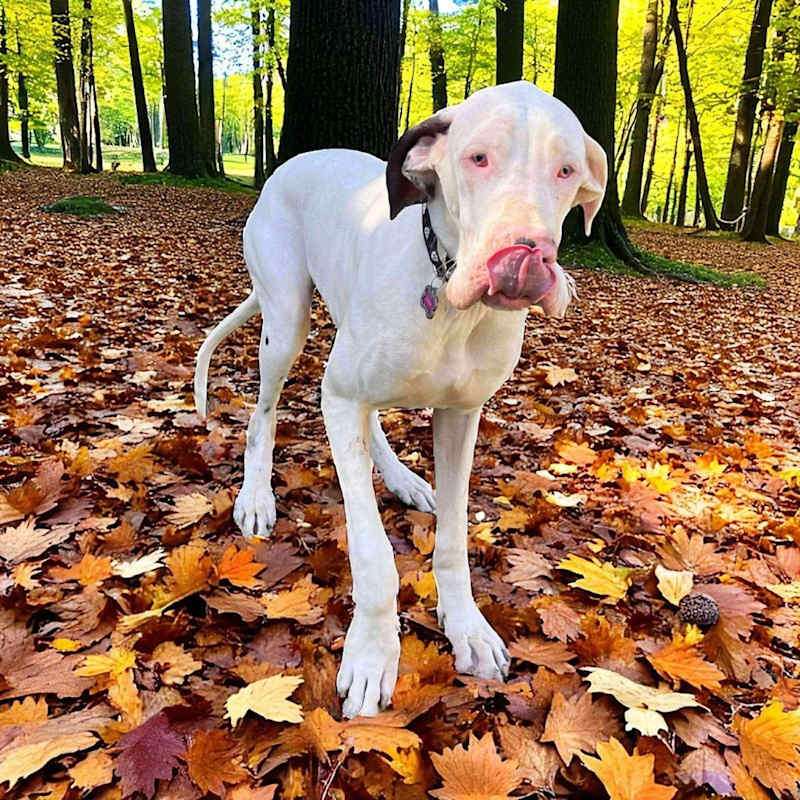 Photo of Kacey #image