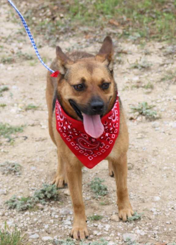 Photo of Tessa #image