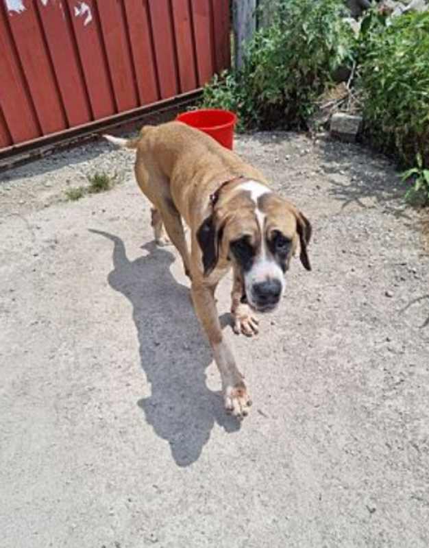 Photo of Maggie #image