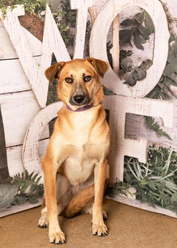 Photo of Mindy #image
