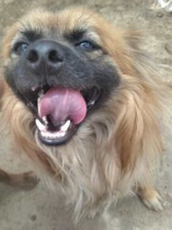 Photo of Leo #image