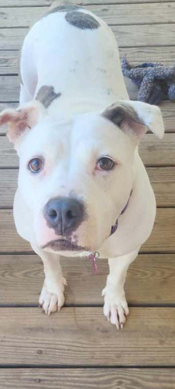 Photo of Rosanna #image