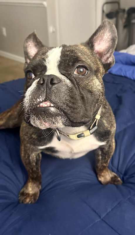 Photo of Klaus #image