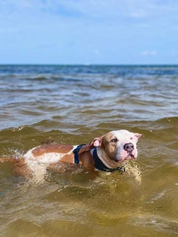 Photo of Buddy #image