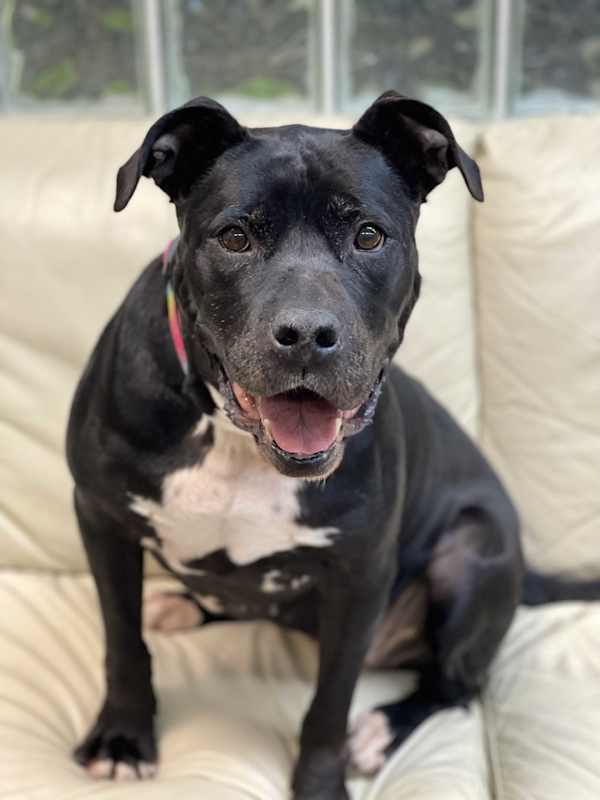 Photo of Trinity #image