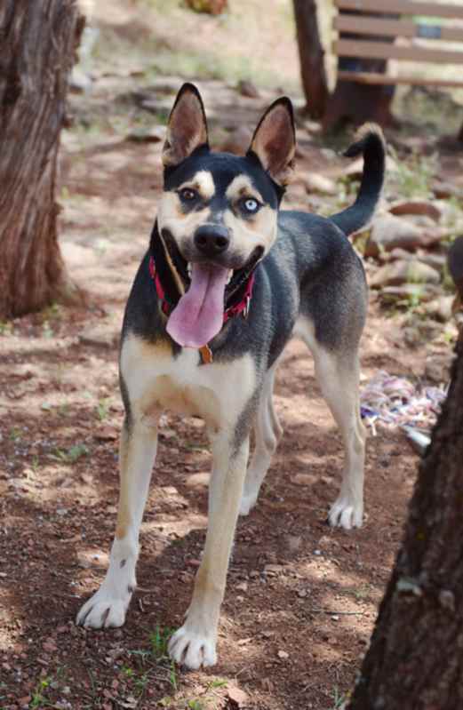 Photo of Rush *Sponsored, Active, Loves #image