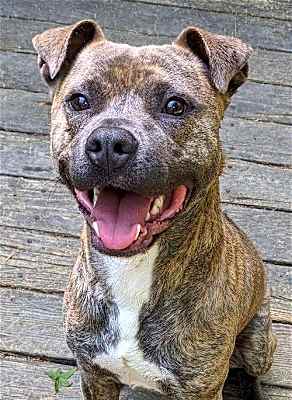 Photo of Frannie #image