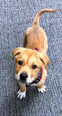 Photo of Cruz #image