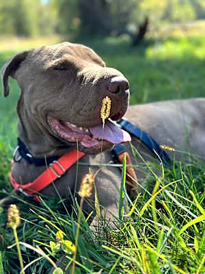 Photo of Max #image