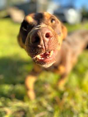 Photo of Cheech #image