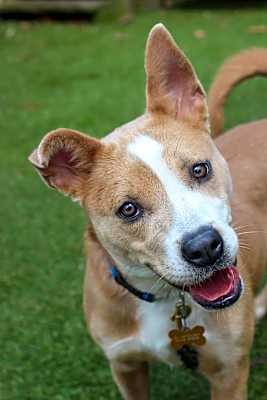 Photo of Daisy #image