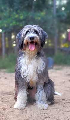 Photo of Sally #image