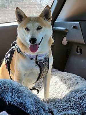 Photo of Kita #image