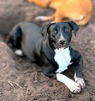 Photo of Nora #image