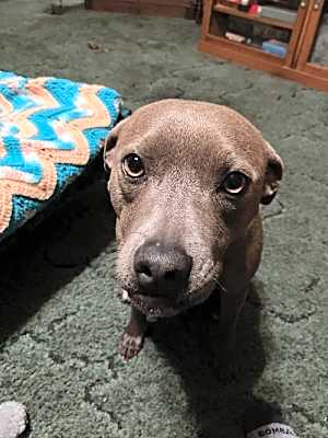 Photo of Maisy #image
