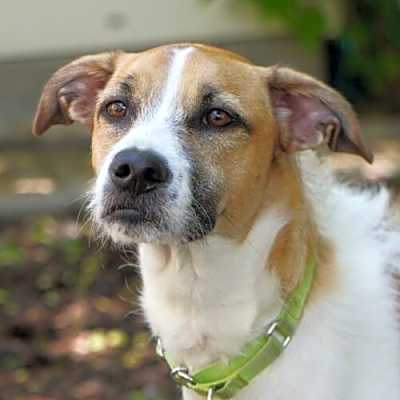 Photo of Thelma #image