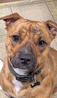 Photo of OAKLEY (COURTESY POST) #image
