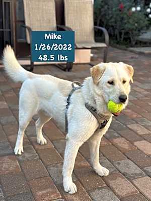 Photo of Mike #image