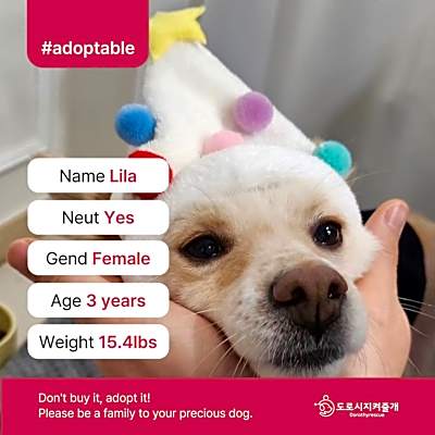 Photo of Lila (D) #image