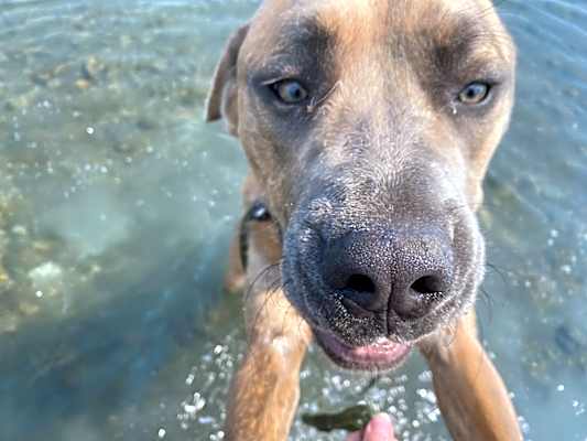Photo of Frankie #image