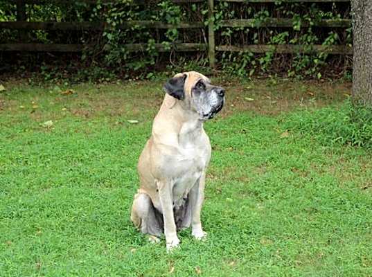 Photo of Izzabella #image