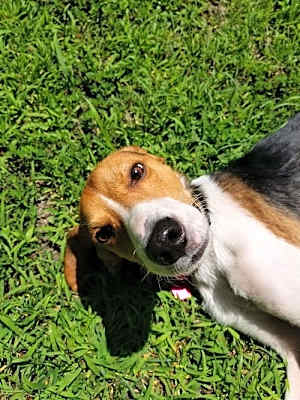 Photo of Binks #image