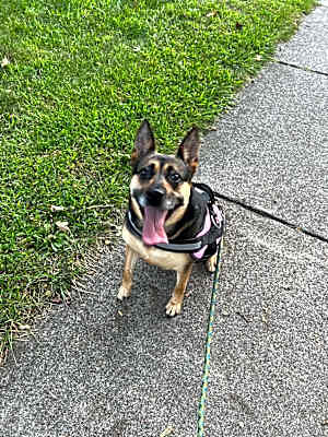 Photo of Mildred #image