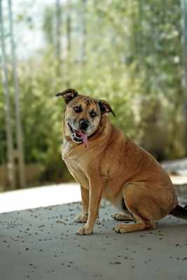 Photo of Dakota #image
