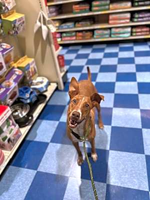 Photo of Pip #image