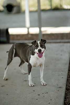 Photo of Kodi #image
