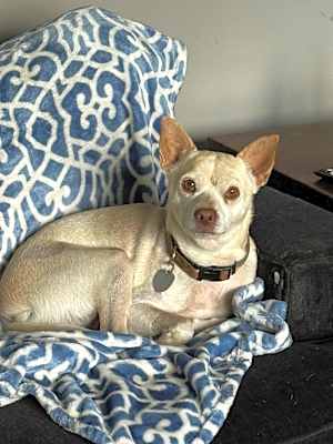 Photo of Little Andy #image