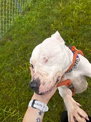 Photo of Jinjer #image